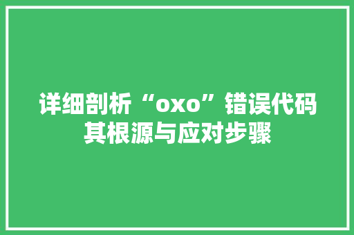 详细剖析“oxo”错误代码其根源与应对步骤