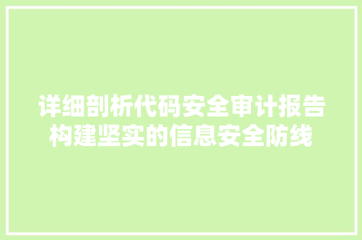 详细剖析代码安全审计报告构建坚实的信息安全防线