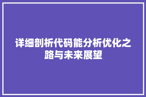 详细剖析代码能分析优化之路与未来展望
