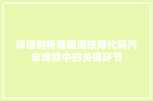 详细剖析唯雅诺故障代码汽车维修中的关键环节 友链在线