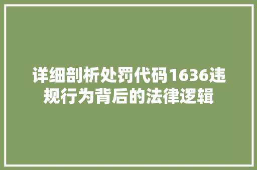 详细剖析处罚代码1636违规行为背后的法律逻辑 服务器/数据库