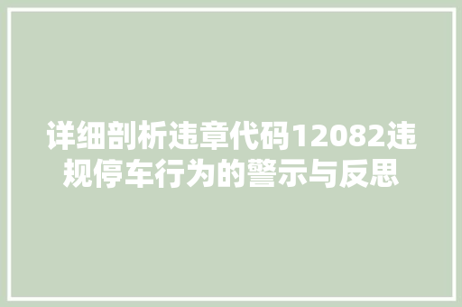 详细剖析违章代码12082违规停车行为的警示与反思 建站教程