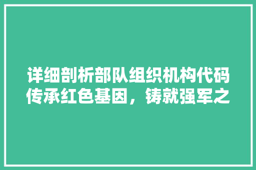 详细剖析部队组织机构代码传承红色基因，铸就强军之基
