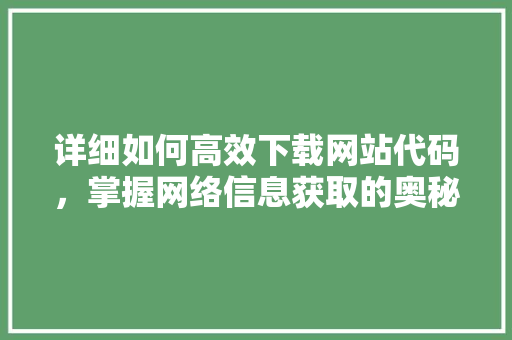 详细如何高效下载网站代码，掌握网络信息获取的奥秘