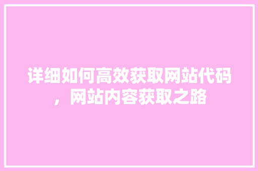 详细如何高效获取网站代码，网站内容获取之路