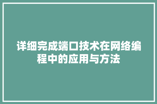 详细完成端口技术在网络编程中的应用与方法