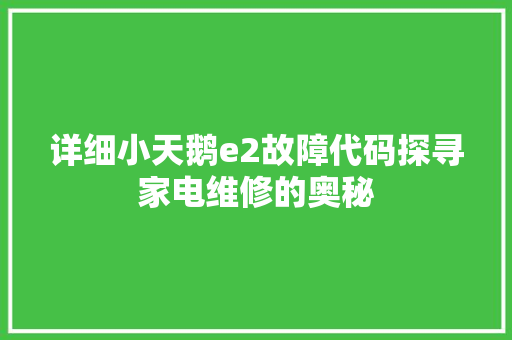 详细小天鹅e2故障代码探寻家电维修的奥秘