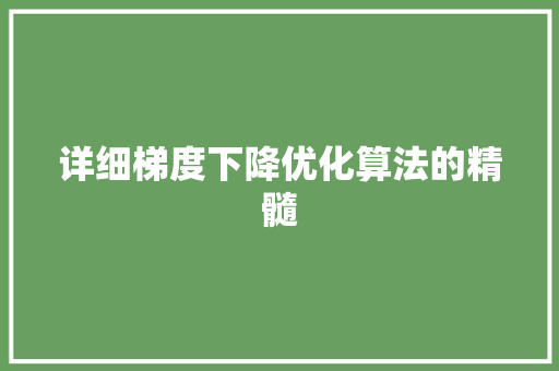 详细梯度下降优化算法的精髓