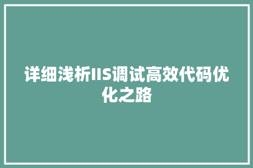 详细浅析IIS调试高效代码优化之路