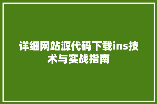 详细网站源代码下载ins技术与实战指南