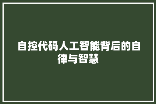 自控代码人工智能背后的自律与智慧