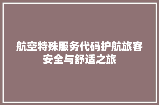 航空特殊服务代码护航旅客安全与舒适之旅