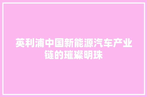 英利浦中国新能源汽车产业链的璀璨明珠 服务器/数据库