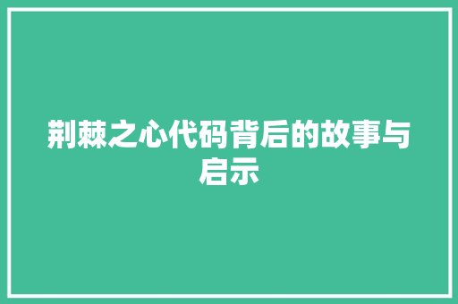 荆棘之心代码背后的故事与启示
