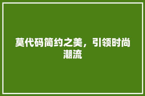 莫代码简约之美，引领时尚潮流