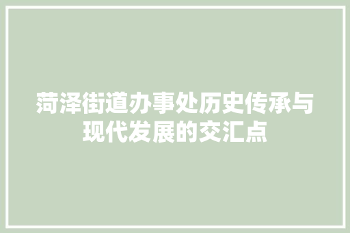菏泽街道办事处历史传承与现代发展的交汇点