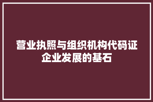 营业执照与组织机构代码证企业发展的基石