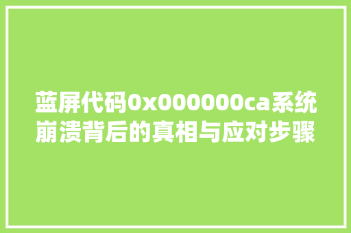 蓝屏代码0x000000ca系统崩溃背后的真相与应对步骤