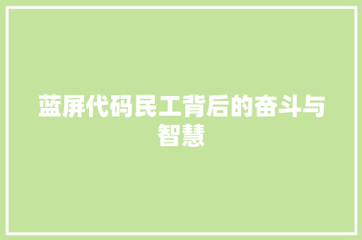 蓝屏代码民工背后的奋斗与智慧