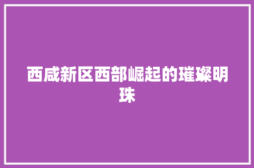 西咸新区西部崛起的璀璨明珠
