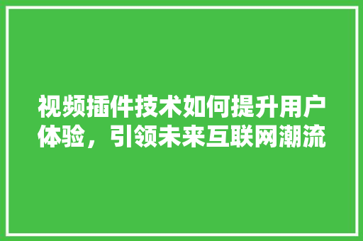 视频插件技术如何提升用户体验，引领未来互联网潮流