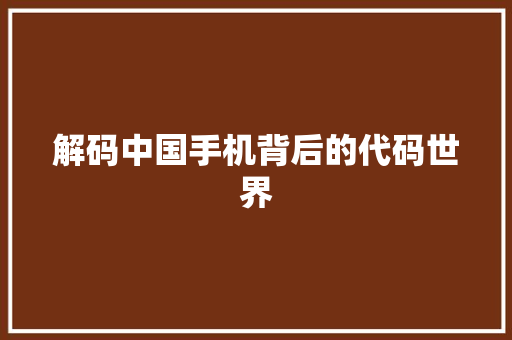 解码中国手机背后的代码世界