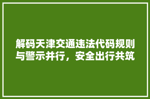解码天津交通违法代码规则与警示并行，安全出行共筑和谐 服务器/数据库