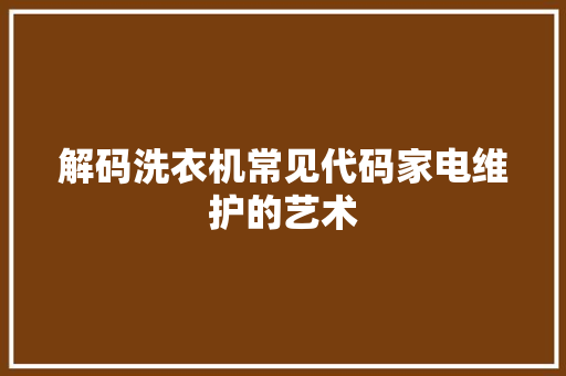 解码洗衣机常见代码家电维护的艺术