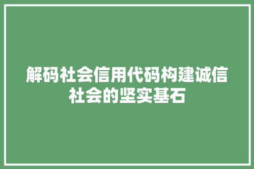 解码社会信用代码构建诚信社会的坚实基石