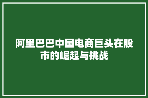 阿里巴巴中国电商巨头在股市的崛起与挑战
