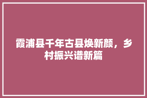 霞浦县千年古县焕新颜，乡村振兴谱新篇