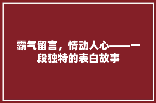 霸气留言，情动人心——一段独特的表白故事