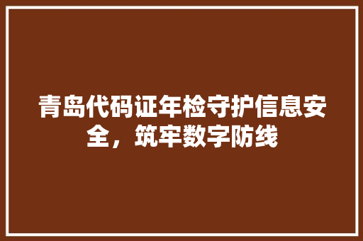 青岛代码证年检守护信息安全，筑牢数字防线