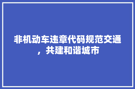 非机动车违章代码规范交通，共建和谐城市