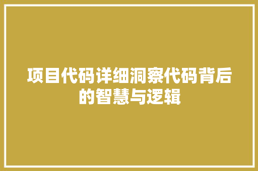 项目代码详细洞察代码背后的智慧与逻辑