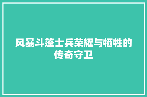 风暴斗篷士兵荣耀与牺牲的传奇守卫