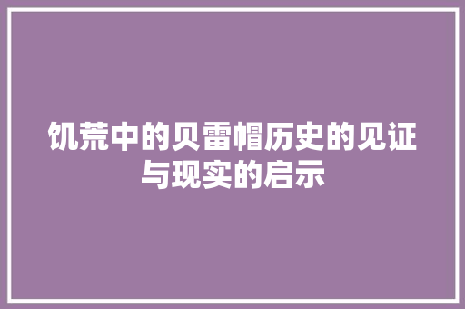 饥荒中的贝雷帽历史的见证与现实的启示