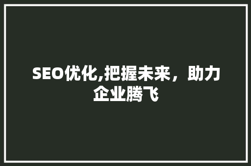 SEO优化,把握未来，助力企业腾飞