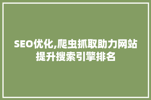 SEO优化,爬虫抓取助力网站提升搜索引擎排名