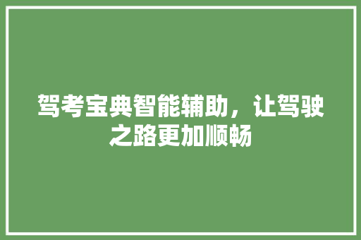 驾考宝典智能辅助，让驾驶之路更加顺畅 友链在线