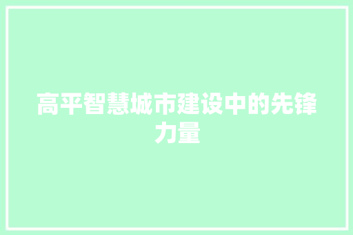 高平智慧城市建设中的先锋力量