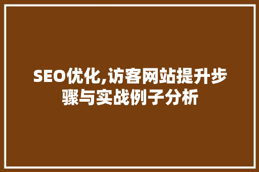 SEO优化,访客网站提升步骤与实战例子分析