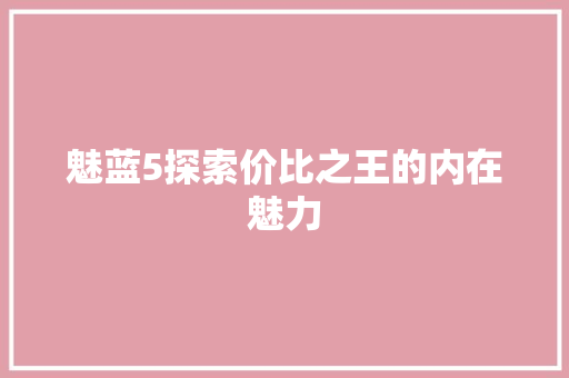 魅蓝5探索价比之王的内在魅力