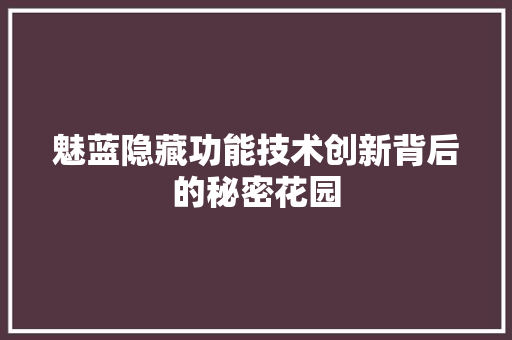 魅蓝隐藏功能技术创新背后的秘密花园