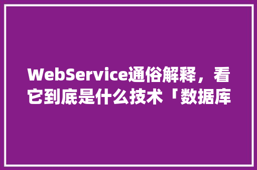 WebService通俗解释，看它到底是什么技术「数据库webservice asp」