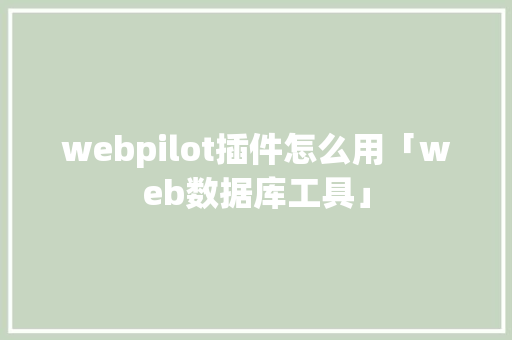 webpilot插件怎么用「web数据库工具」 SEO教程