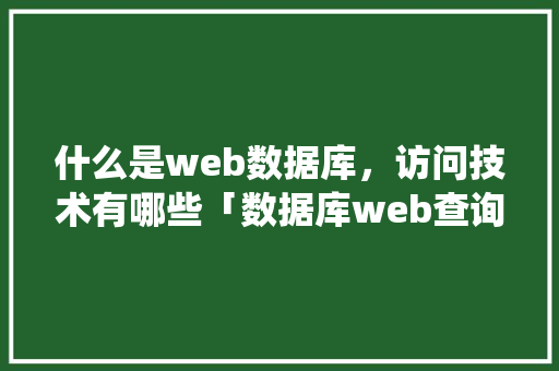 什么是web数据库，访问技术有哪些「数据库web查询系统」