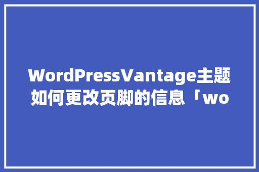WordPressVantage主题如何更改页脚的信息「wordpress视频网站主题」