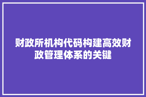 财政所机构代码构建高效财政管理体系的关键