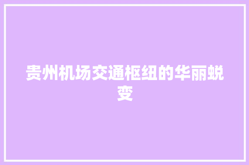 贵州机场交通枢纽的华丽蜕变